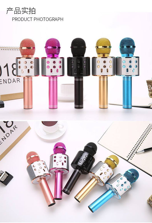 # 0 KARAOKE MICROPHONE( has lot of features)