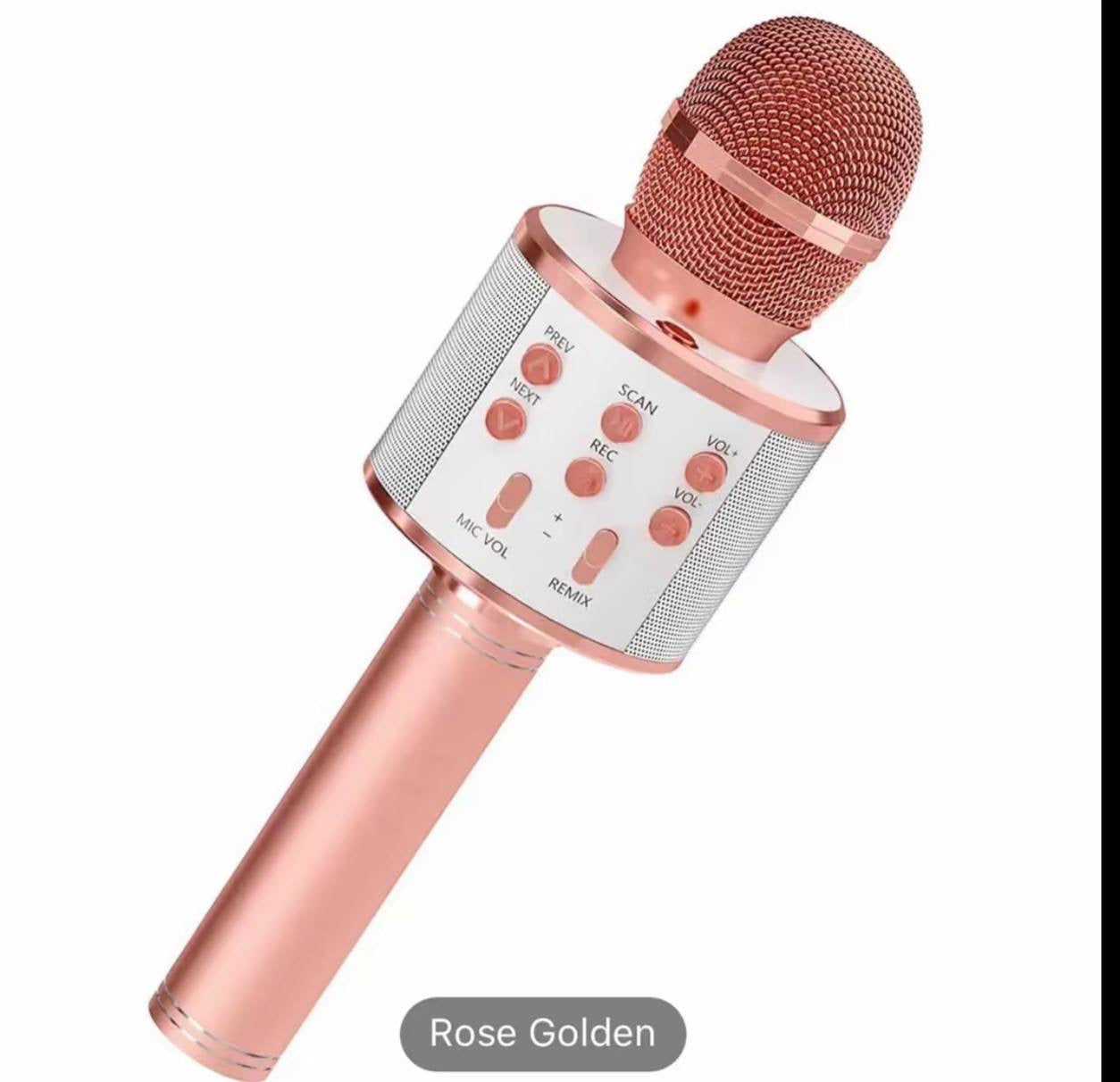 # 0 KARAOKE MICROPHONE( has lot of features)