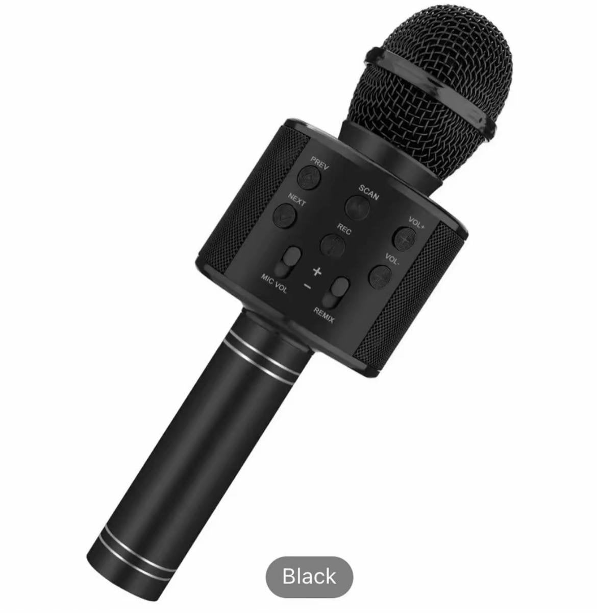 # 0 KARAOKE MICROPHONE( has lot of features)